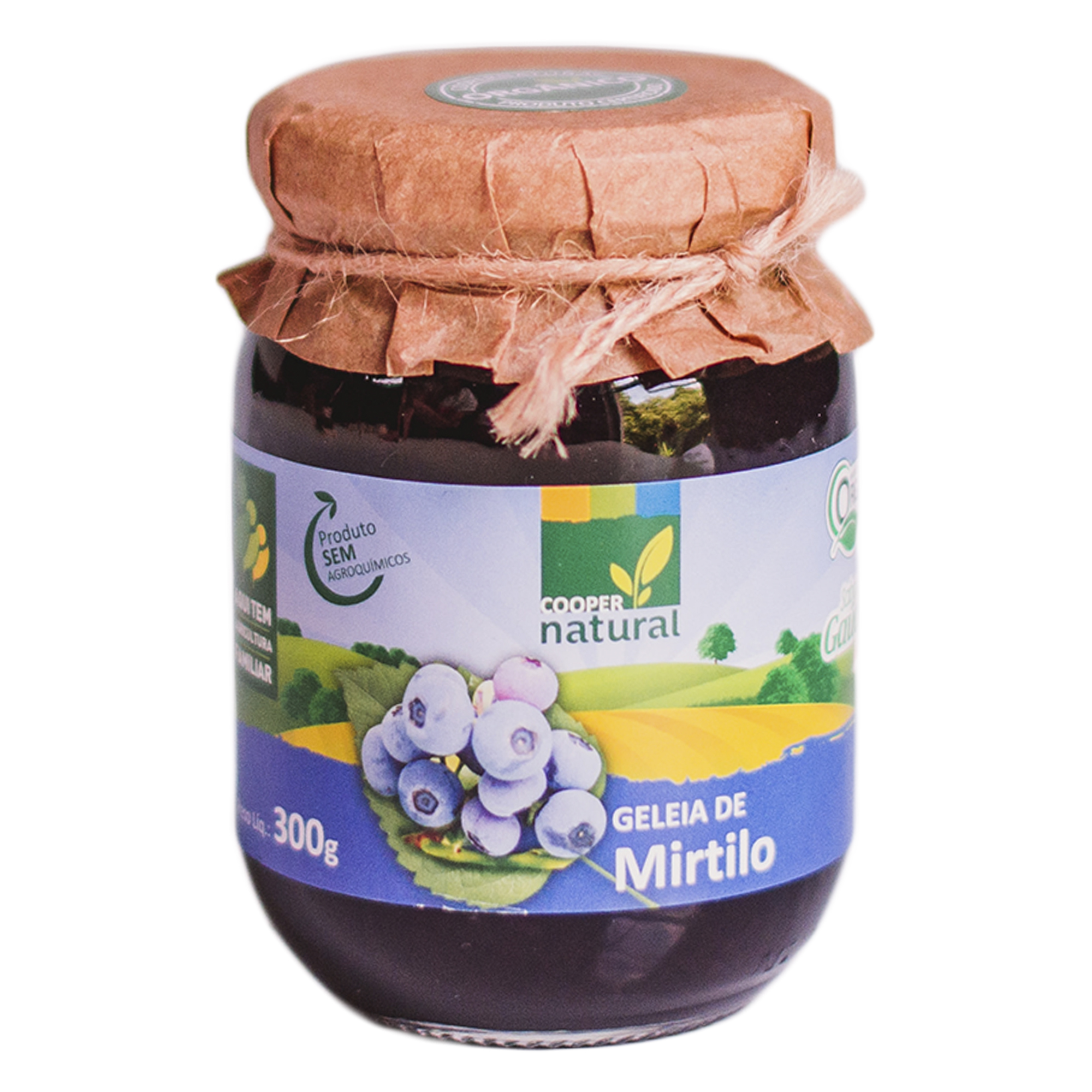 Geleia de Mirtilo (blueberry) sem açúcar Orgânica 270g - Carraro - Empório  Cazarini